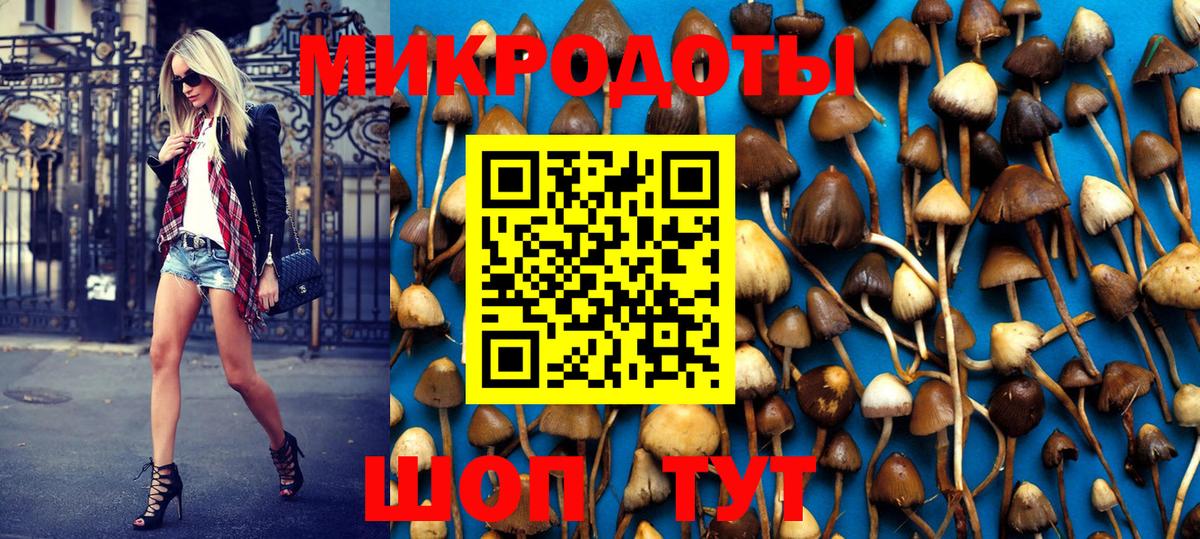 Псилоцибиновые грибы MAGIC MUSHROOMS Энгельс
